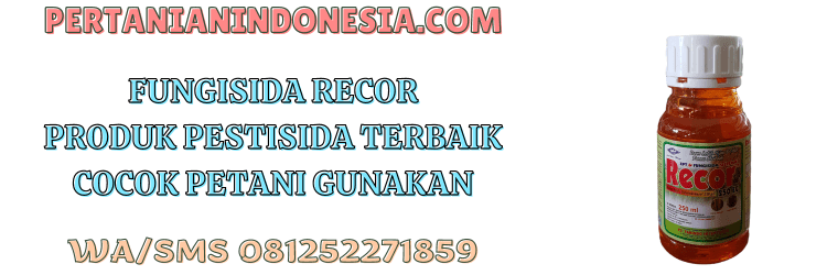 fungisida,recor,recor 250 ec,pestisida,pertanian indonesia